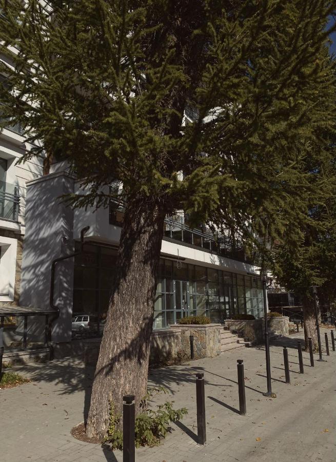 Kuban Апартаменти Yaremtche Extérieur photo